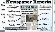 Image result for News Report Article Example