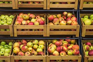 Image result for Storing Apples