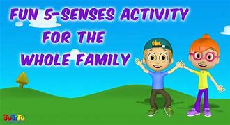 Image result for Fun 5 Senses Activities