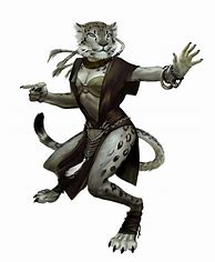 Image result for Dnd Cat Girl