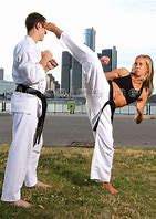 Image result for Karate High Kick