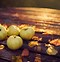 Image result for Apple Fruit HD