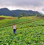 Image result for Helping Local Farmers