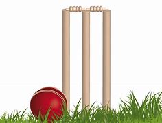 Image result for Cricket Decals