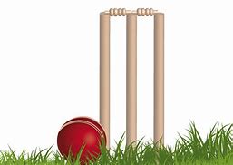 Image result for Cricket Stumps Bat and Ball