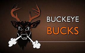 Image result for Buckeye Bucks Logo