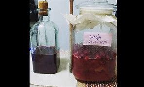 Image result for Ginja Caseira