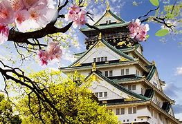 Image result for Osaka Castle Sakura