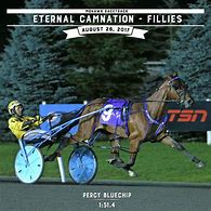 Image result for Never Ending Horse Harness Racing
