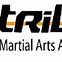 Image result for One Tribe Martial Arts