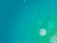 Image result for Teal Green Phone Wallpapers