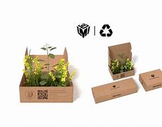 Image result for Product Packaging Solutions