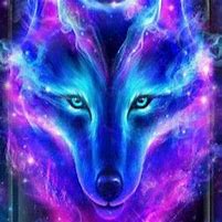 Image result for Galaxy Wolf Photo