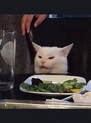Image result for Cat at Table Meme We Need to Talk