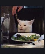 Image result for Cat at Table Meme Korrin