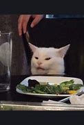Image result for White Cat at Table Meme