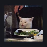 Image result for Persian Cat at Dinner Table Meme