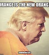 Image result for Trump Memes Funny 2019