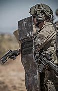 Image result for Tactical Shield