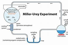 Image result for Miller and Urey Experiment