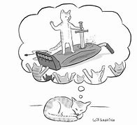 Image result for Floating Cat Meme