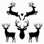 Image result for Deer Hunting Graphics