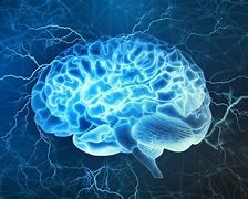 Image result for How Human Memory Works