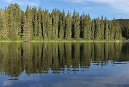 Image result for Jarvis California Lake William