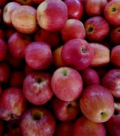 Image result for Washington Honeycrisp Apples
