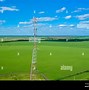 Image result for Cell Phone Tower Tree