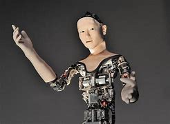 Image result for Japan Human Robots