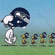 Image result for Seattle Seahawks Cartoon
