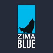 Image result for Zima T-Shirt