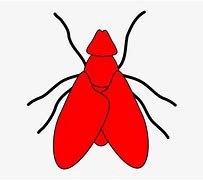 Image result for Fishing Flies Clip Art