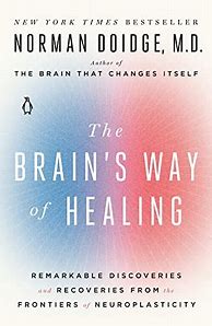 Image result for Cover the Mind and the Brain