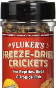 Image result for Freeze Dried Crickets