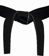 Image result for Martial Arts Belts