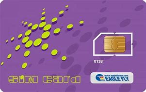 Image result for Verion Micro Sim