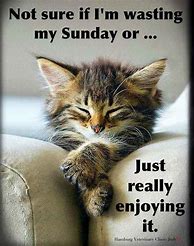 Image result for Best Happy Sunday Memes