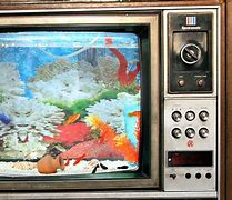 Image result for No Television for a Week