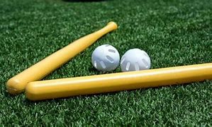 Image result for Red Wiffle Ball Bat