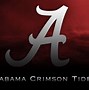 Image result for Alabama Football Pics