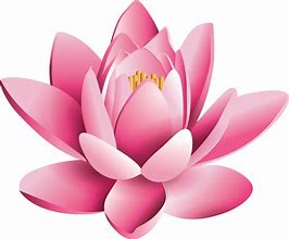 Image result for Lotus Flower Avatar