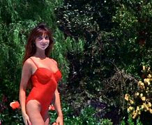 Image result for Christmas Vacation Movie Swimsuit
