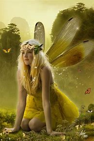 Image result for Fairies Elves Pixies