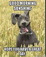 Image result for Good Morning Have a Great Day Humorous