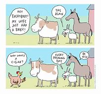 Image result for Funny Animal Stories