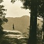 Image result for "Mount Tam"