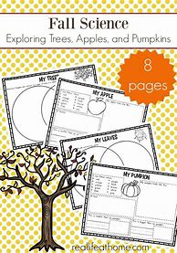 Image result for Fall Science Worksheets