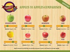 Image result for Apple Arrel Menu